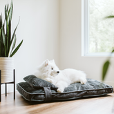 Dual comfort bed stylish spare cover, 2 sizes